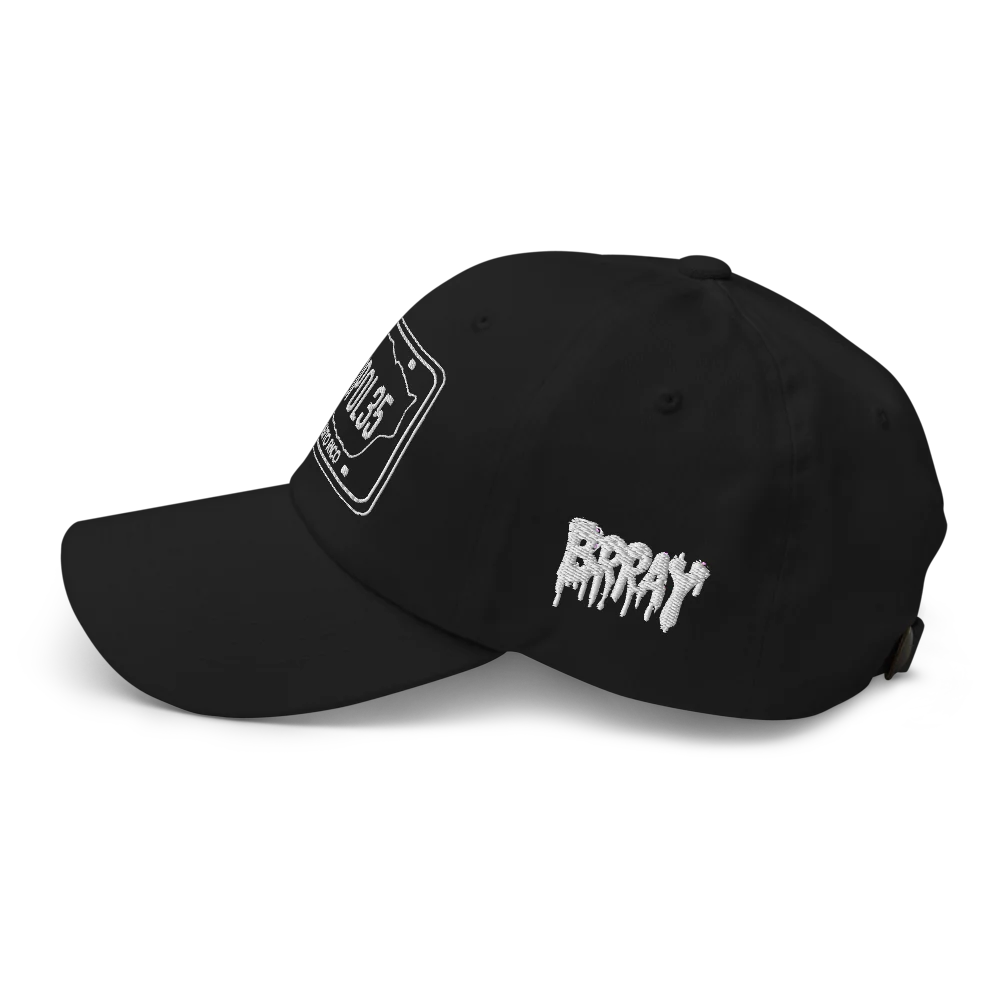 100POL35 Hat - Image 3