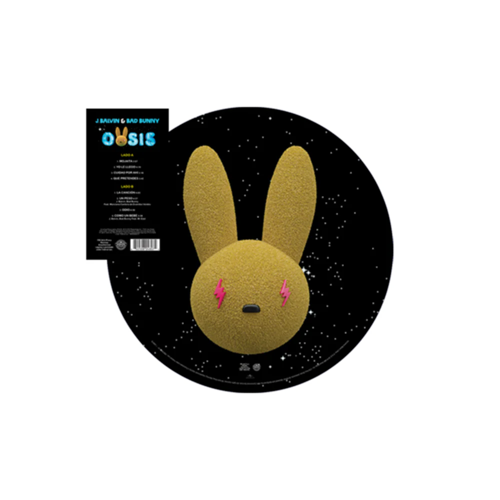 Oasis Picture Disc Vinyl