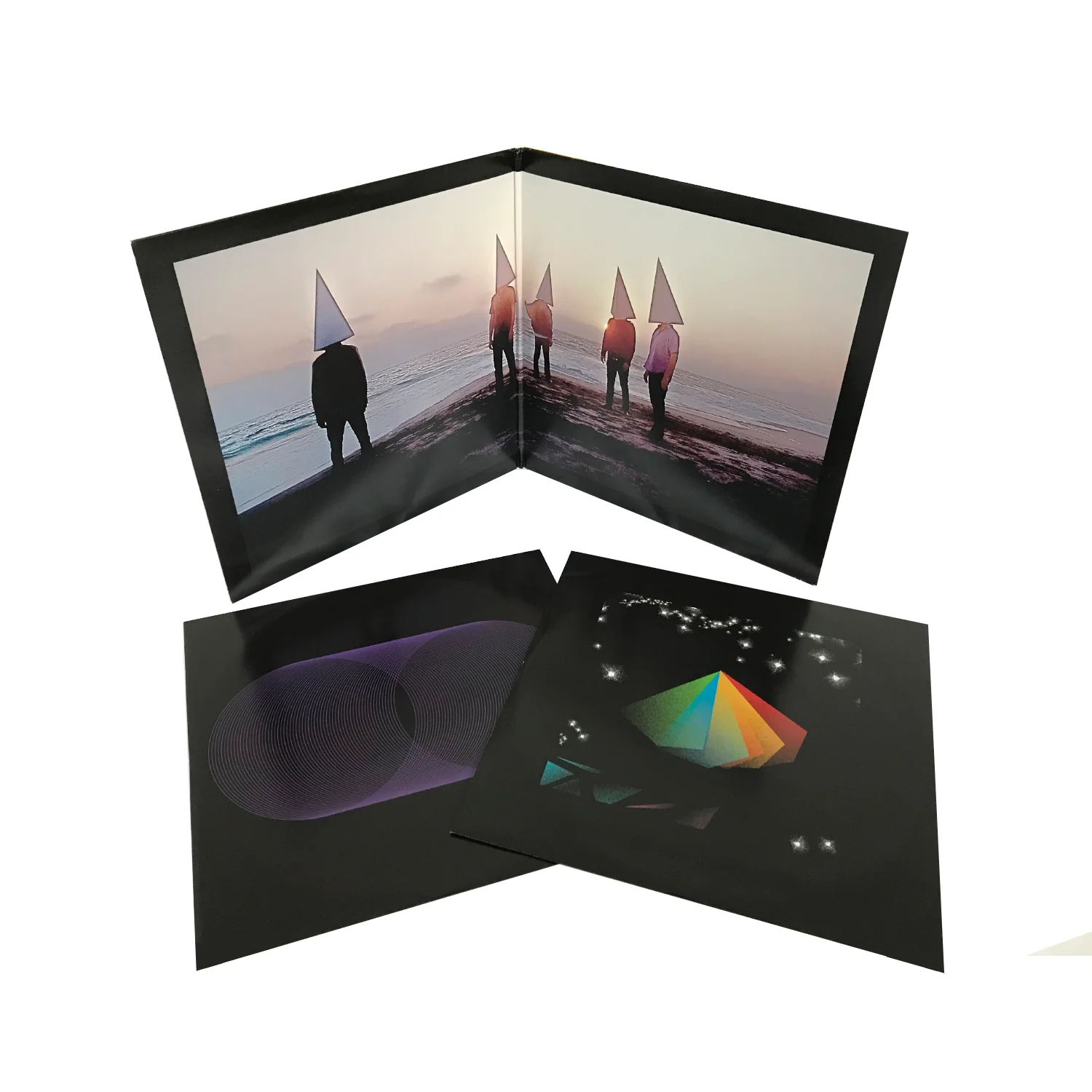 Reptilectric 2LP Vinyl - Image 2